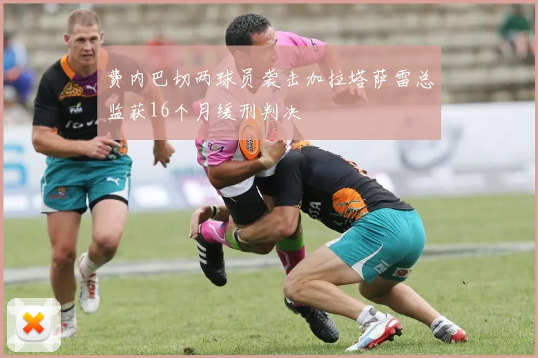费内巴切两球员袭击加拉塔萨雷总监获16个月缓刑判决