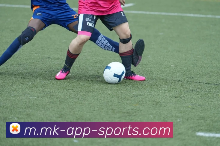 MK体育平台生态图