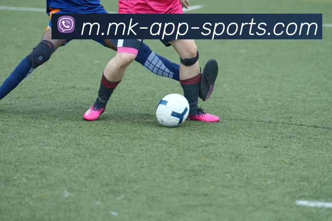 MK体育APP 封面图